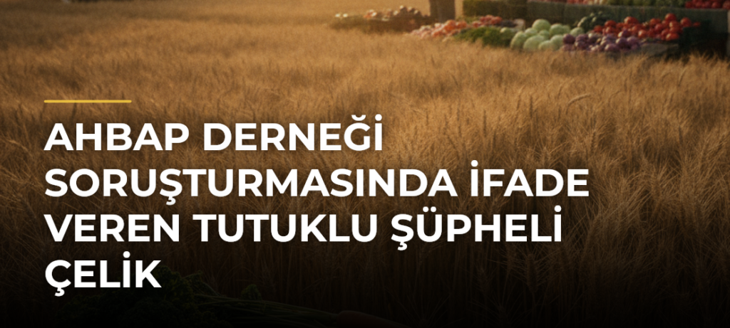 AHBAP Derneği soruşturmasında ifade veren tutuklu şüpheli Çelik