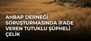 AHBAP Derneği soruşturmasında ifade veren tutuklu şüpheli Çelik