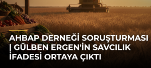 Ahbap Derneği soruşturması | Gülben Ergen’in savcılık ifadesi ortaya çıktı