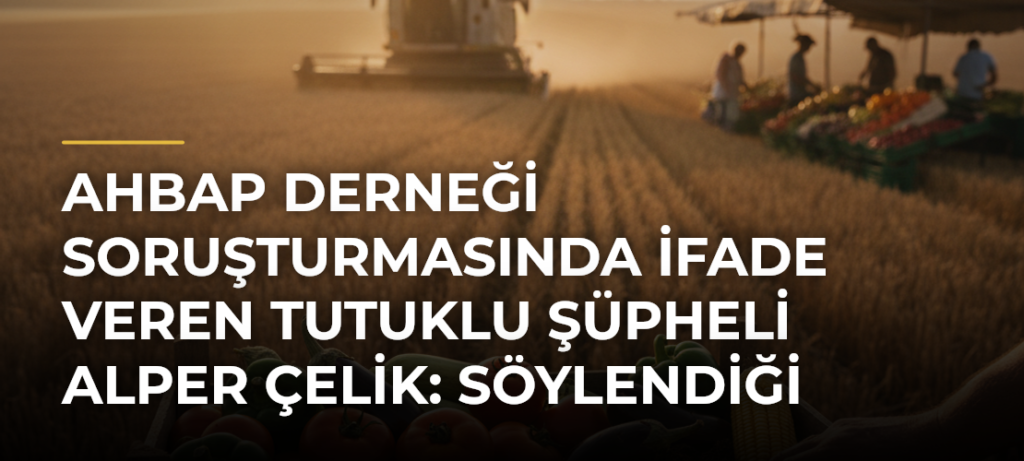 AHBAP Derneği soruşturmasında ifade veren tutuklu şüpheli Alper Çelik: Söylendiği miktarlar kadar para kaybettik