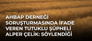 AHBAP Derneği soruşturmasında ifade veren tutuklu şüpheli Alper Çelik: Söylendiği miktarlar kadar para kaybettik