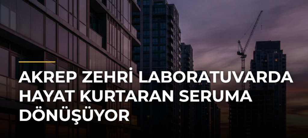 Akrep zehri laboratuvarda hayat kurtaran seruma dönüşüyor