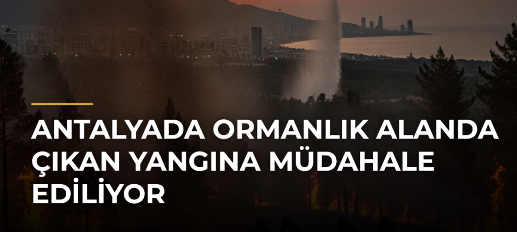 Antalyada ormanlık alanda çıkan yangına müdahale ediliyor