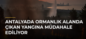 Antalyada ormanlık alanda çıkan yangına müdahale ediliyor