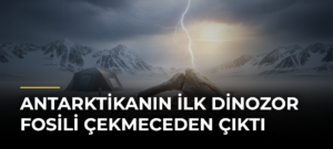 Antarktikanın İlk Dinozor Fosili Çekmeceden Çıktı