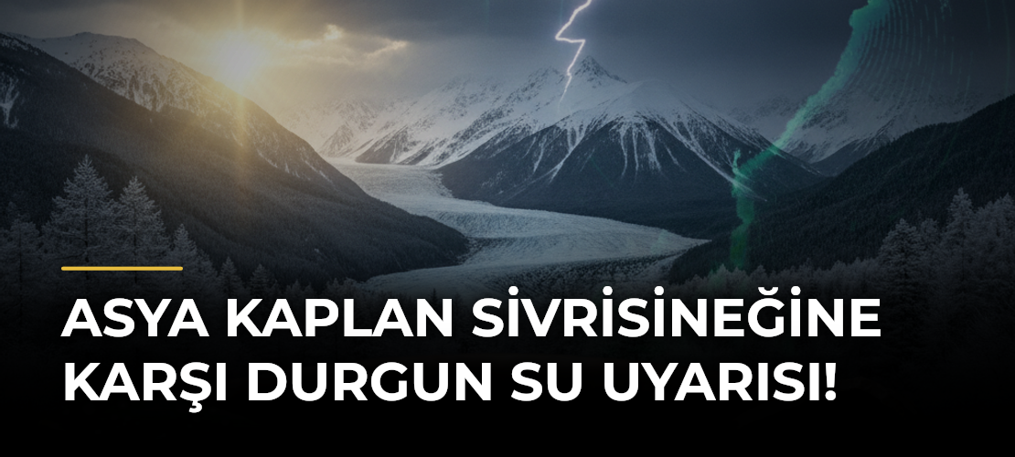 Asya Kaplan Sivrisineğine Karşı Durgun Su Uyarısı!