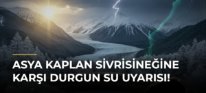 Asya Kaplan Sivrisineğine Karşı Durgun Su Uyarısı!