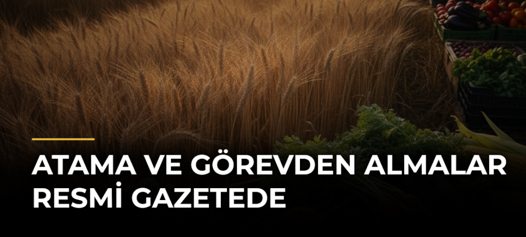 Atama ve görevden almalar Resmi Gazetede