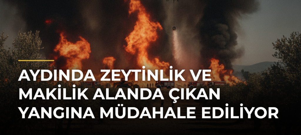 Aydında Zeytinlik ve Makilik Alanda Çıkan Yangına Müdahale Ediliyor