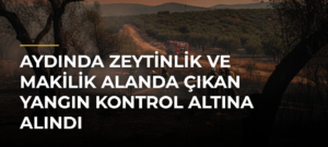 Aydında Zeytinlik ve Makilik Alanda Çıkan Yangın Kontrol Altına Alındı