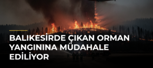 Balıkesirde Çıkan Orman Yangınına Müdahale Ediliyor
