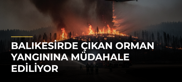 Balıkesirde Çıkan Orman Yangınına Müdahale Ediliyor