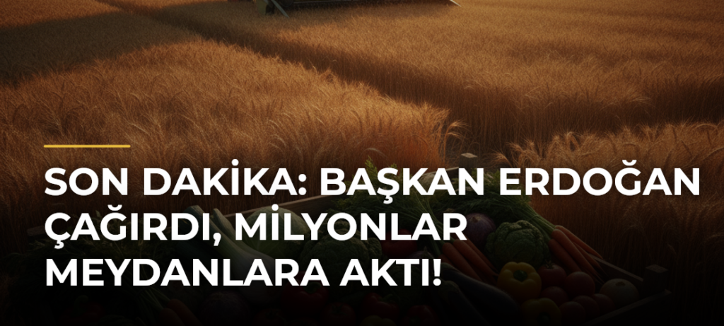 Son Dakika: Başkan Erdoğan Çağırdı, Milyonlar Meydanlara Aktı!