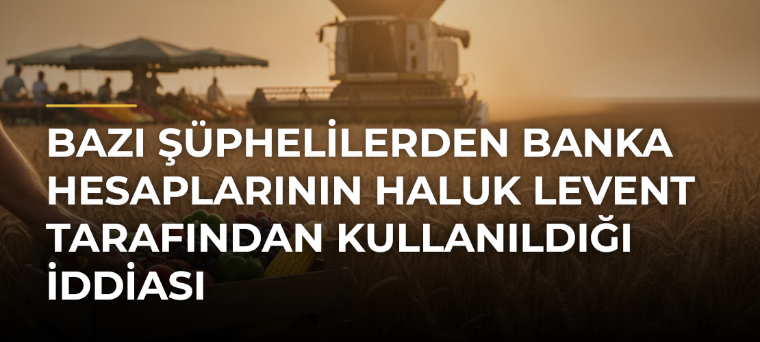 Bazı şüphelilerden banka hesaplarının Haluk Levent tarafından kullanıldığı iddiası - Mirat Haber