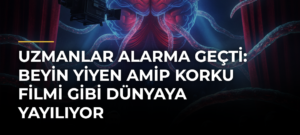 Uzmanlar Alarma Geçti: Beyin Yiyen Amip Korku Filmi Gibi Dünyaya Yayılıyor