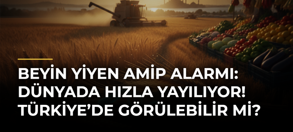 Beyin Yiyen Amip Alarmı: Dünyada Hızla Yayılıyor! Türkiye’de Görülebilir mi?