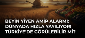 Beyin Yiyen Amip Alarmı: Dünyada Hızla Yayılıyor! Türkiye’de Görülebilir mi?