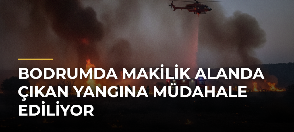 Bodrumda Makilik Alanda Çıkan Yangına Müdahale Ediliyor