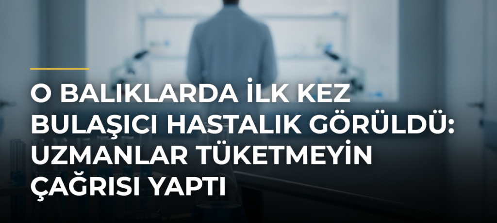 O balıklarda ilk kez bulaşıcı hastalık görüldü: Uzmanlar tüketmeyin çağrısı yaptı