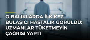 O balıklarda ilk kez bulaşıcı hastalık görüldü: Uzmanlar tüketmeyin çağrısı yaptı