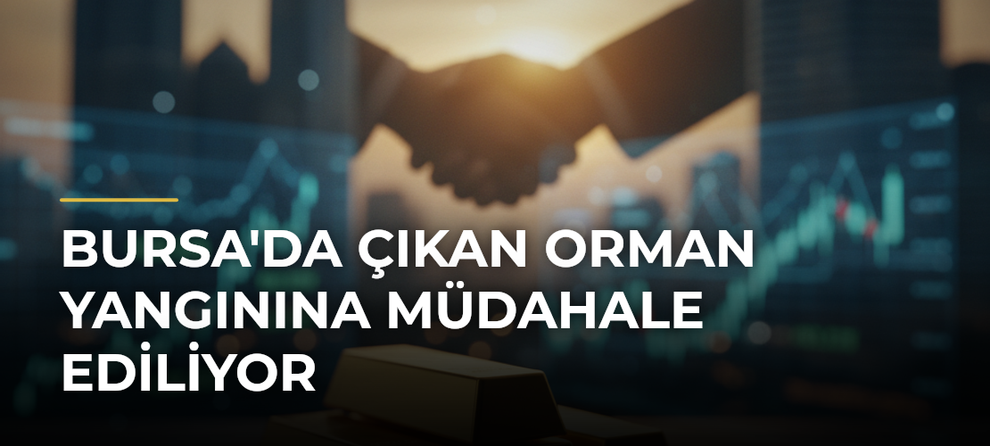 Bursa'da Çıkan Orman Yangınına Müdahale Ediliyor - Mirat Haber