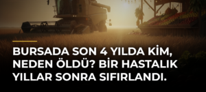 Bursada son 4 yılda kim, neden öldü? Bir hastalık yıllar sonra sıfırlandı.