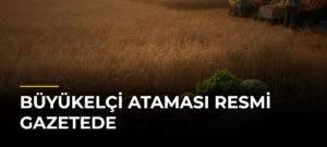 Büyükelçi ataması Resmi Gazetede