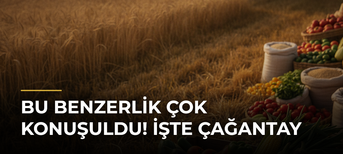 Bu benzerlik çok konuşuldu! İşte Çağantay