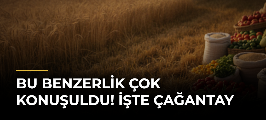 Bu benzerlik çok konuşuldu! İşte Çağantay