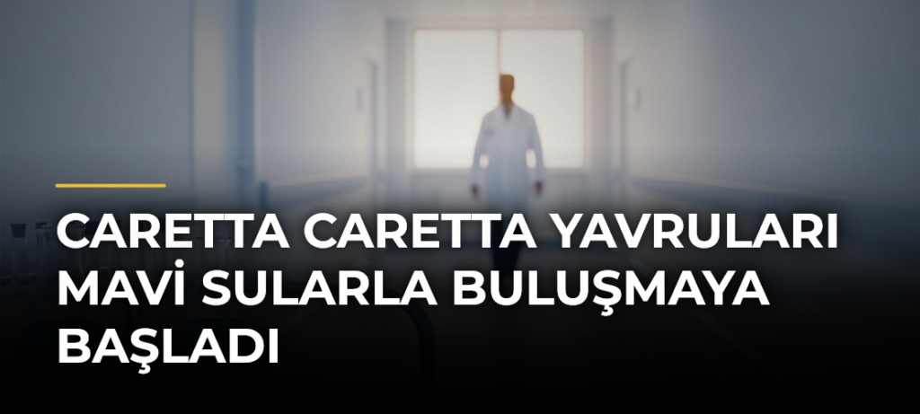 Caretta caretta yavruları mavi sularla buluşmaya başladı
