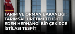 Tarım ve Orman Bakanlığı: Tarımsal Üretimi Tehdit Eden Herhangi Bir Çekirge İstilası Tespit Edilmemiştir