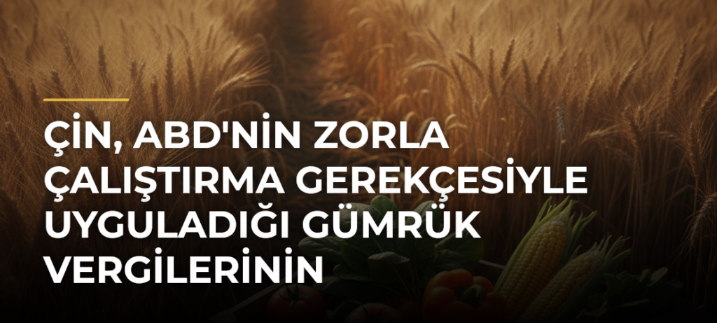 Çin, ABD’nin zorla çalıştırma gerekçesiyle uyguladığı gümrük vergilerinin kaldırılmasını istedi