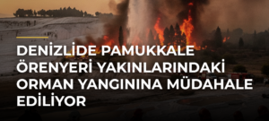 Denizlide Pamukkale Örenyeri Yakınlarındaki Orman Yangınına Müdahale Ediliyor