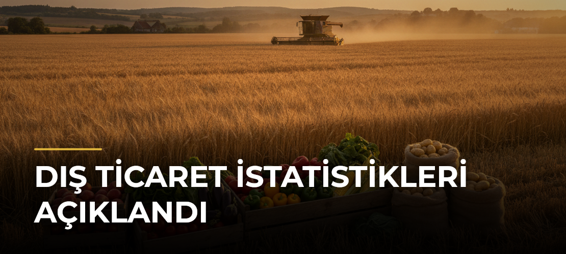 Dış Ticaret İstatistikleri Açıklandı - Mirat Haber