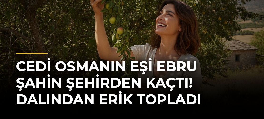 Cedi Osmanın eşi Ebru Şahin şehirden kaçtı! Dalından erik topladı