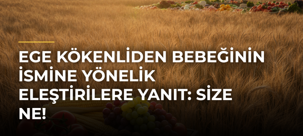 Ege Kökenliden bebeğinin ismine yönelik eleştirilere yanıt: Size ne!