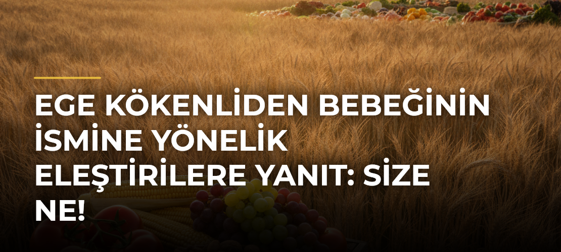 Ege Kökenliden bebeğinin ismine yönelik eleştirilere yanıt: Size ne! - Mirat Haber
