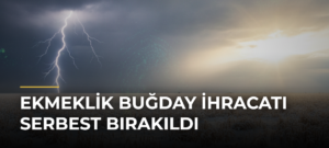 Ekmeklik Buğday İhracatı Serbest Bırakıldı