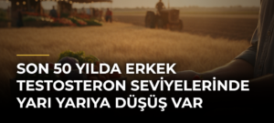 Son 50 yılda erkek testosteron seviyelerinde yarı yarıya düşüş var