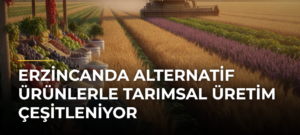 Erzincanda Alternatif Ürünlerle Tarımsal Üretim Çeşitleniyor