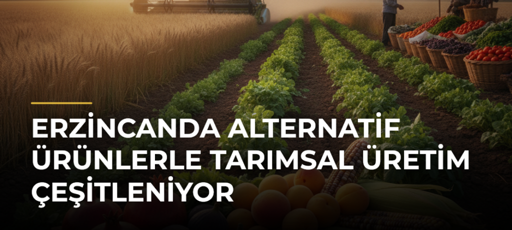 Erzincanda Alternatif Ürünlerle Tarımsal Üretim Çeşitleniyor