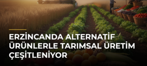 Erzincanda Alternatif Ürünlerle Tarımsal Üretim Çeşitleniyor