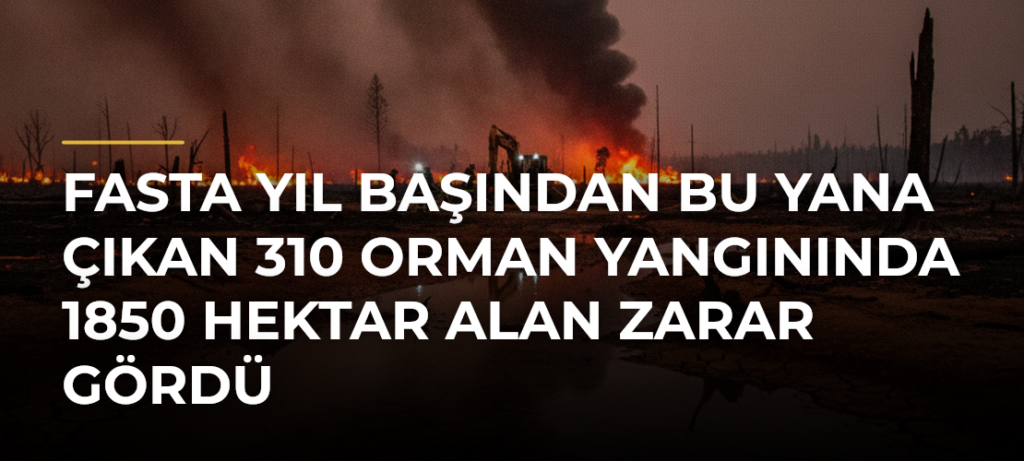 Fasta yıl başından bu yana çıkan 310 orman yangınında 1850 hektar alan zarar gördü