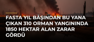 Fasta yıl başından bu yana çıkan 310 orman yangınında 1850 hektar alan zarar gördü