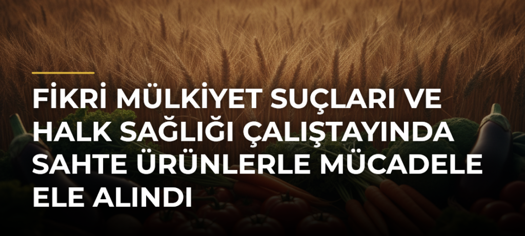 Fikri Mülkiyet Suçları ve Halk Sağlığı Çalıştayında sahte ürünlerle mücadele ele alındı