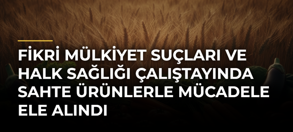 Fikri Mülkiyet Suçları ve Halk Sağlığı Çalıştayında sahte ürünlerle mücadele ele alındı