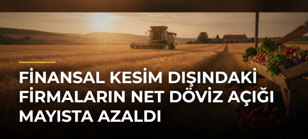 Finansal kesim dışındaki firmaların net döviz açığı mayısta azaldı