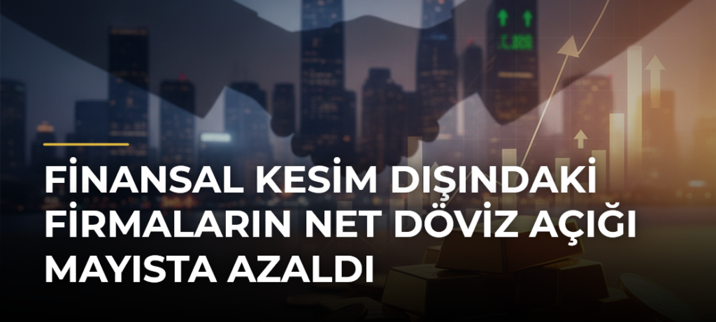 Finansal kesim dışındaki firmaların net döviz açığı mayısta azaldı