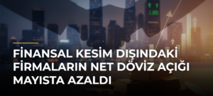 Finansal kesim dışındaki firmaların net döviz açığı mayısta azaldı