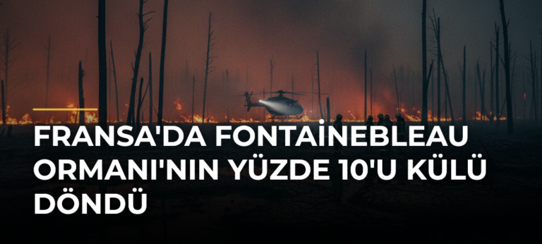 Fransa’da Fontainebleau Ormanı’nın Yüzde 10’u Külü Döndü